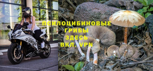 первитин Алексеевка